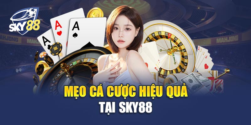 Mẹo Cá Cược Hiệu Quả Tại Sky88