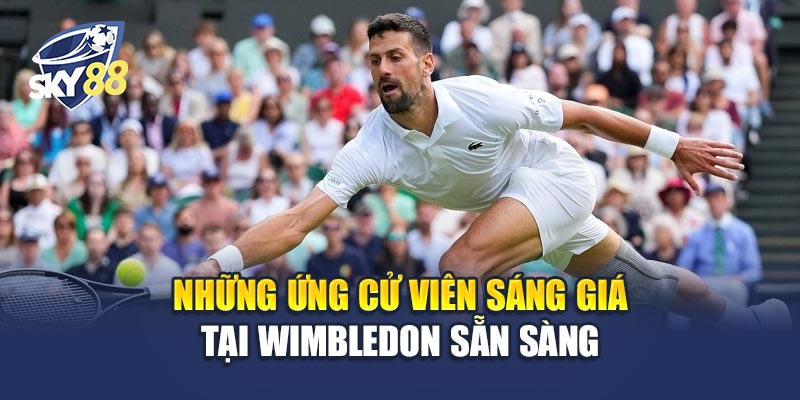 Những ứng cử viên sáng giá tại Wimbledon Sẵn Sàng